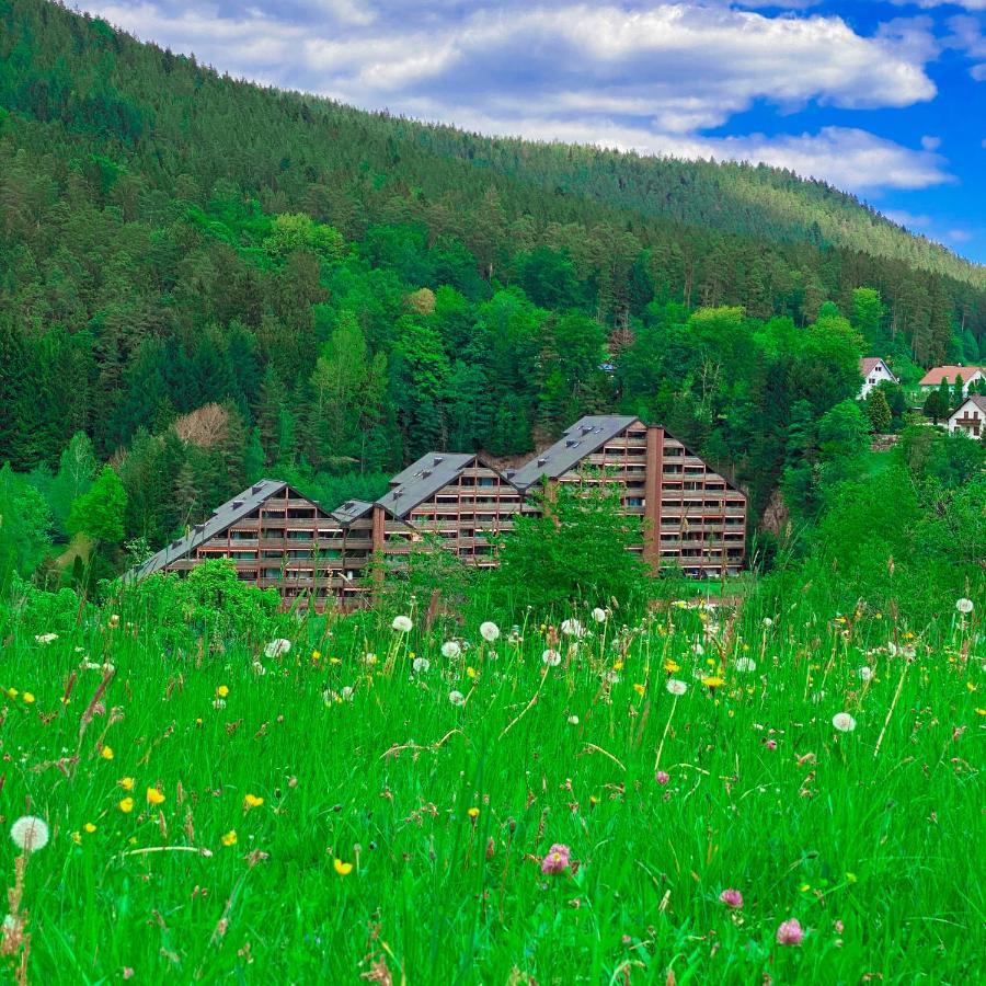 Ferienwohnung Guenter Im Tonbachtal Baiersbronn Esterno foto